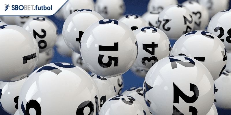 Loại hình 3 càng, 4 càng